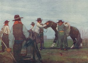 Gauchos Breaking in a Young Horse