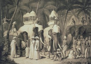 Elephants of the Raja of Travandrum, from 