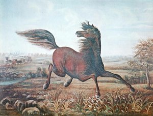 The Neigh of an Iron Horse by A Tapy