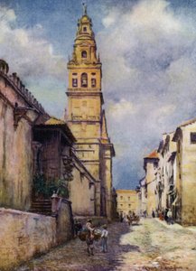 Cordova, Calle Cardinal Herrera by A. Trevor Haddon