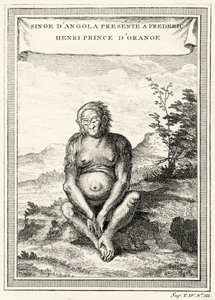 Illustration of the Orang-Outang Presented to Frederick Henry, Prince of Orange by Abbé Prévost