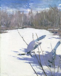 Blue Jays in Winter, study for book Concealing Coloration in the Animal Kingdom by Abbott Handerson Thayer