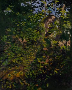 Peacock in the Woods, Study for the Book Concealing Coloration in the Animal Kingdom by Abbott Handerson Thayer