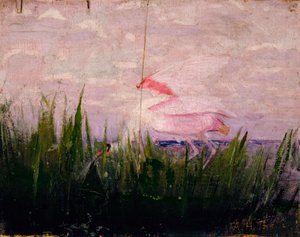 Roseate Spoonbill, Study for Book Concealing Coloration in the Animal Kingdom by Abbott Handerson Thayer