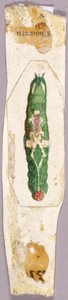 White Birch Leaf Edge Caterpillar, study for book Concealing Coloration in the Animal Kingdom by Abbott Handerson Thayer