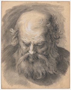 Study of the Head of a Bearded Man