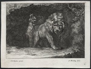 Various Lions by Abraham Blooteling