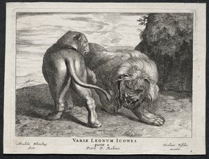 Various Lions by Abraham Blooteling