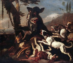 Boar Hunting