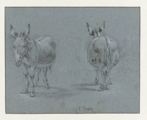 Two Studies of a Donkey, Seen from the Front and Behind by Abraham Jansz Begeyn