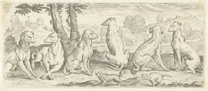 Dogs (Animals) by Abraham de Bruyn (possibly)