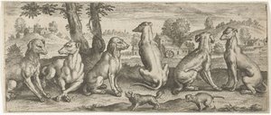 Dogs by Abraham de Bruyn (possibly)