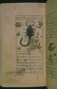 Constellations of the zodiac: Scorpio, the Scorpion, from Talim dar marifat i taqvuim, 1498 (903 Hijra) by Abu Jafar al Tabari