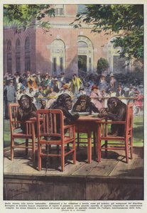 From the Forest to the Festive Table by Achille Beltrame