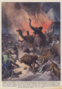 Flames in the Menagerie!