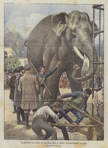 The Departure from London to the United States of Jingo, The Farewell Demonstrations