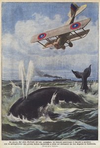 Hunting from the Sky by Achille Beltrame