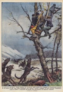Salvation on the Tree