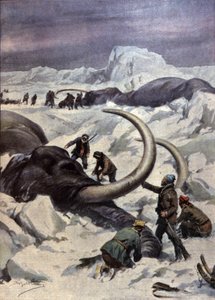 Mammoths in North Pole by Achille Beltrame