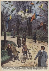Walking in the Forests Near London, Especially in Epping Forest, Peaceful Walkers