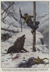Driven by Cold and Hunger, a Large Boar Tried to Attack a Worker...