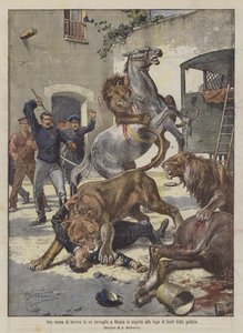 A Scene of Terror in a Menagerie in Moscow Following the Escape of Lions from the Cage by Achille Beltrame