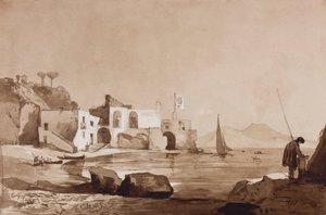 Port flying the Borbone flag with Vesuvius to the south, with additions by a Borbone pupil by Achille Vianelli