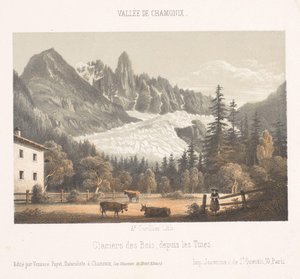 View of Chamonix and Mont Blanc from the North
