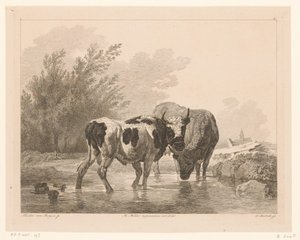 Two Cows in a Stream by Adam von Bartsch