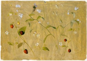 Strawberries and Forget-Me-Nots by Adolf Senff