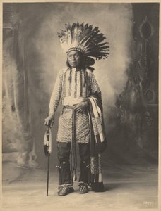 Native American Male by Adolph F. Muhr