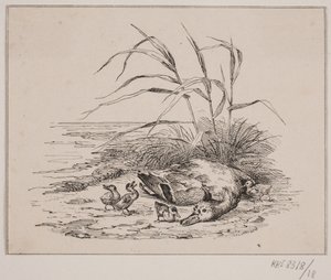 The Killed Duck by Johan Adolph Kittendorff