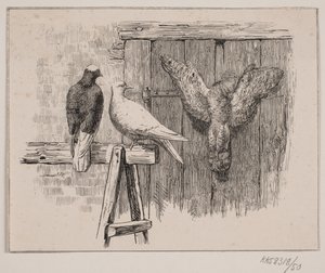 The Doves by Johan Adolph Kittendorff