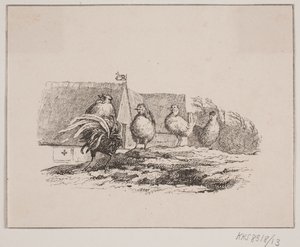 The Rooster