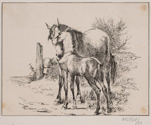 The Horse and the Foal by Johan Adolph Kittendorff