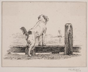 Dog on the beach