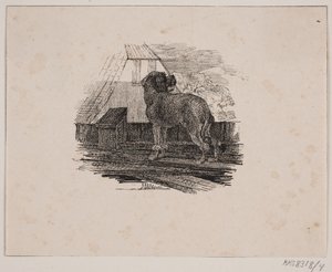 The Poodle by Johan Adolph Kittendorff