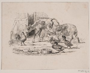 The Calf by Johan Adolph Kittendorff