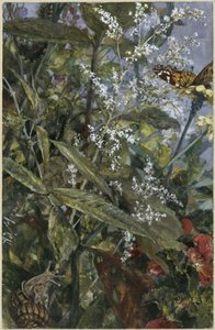 Flowers with a Butterfly and Snail. From the "Children