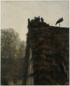 The Stork
