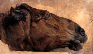Horse Study. Head in Profile to the Right by Adolph Menzel
