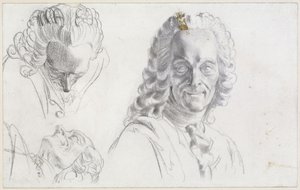 Study of Voltaire by Adolph Menzel