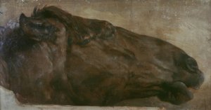 Horse Study. Head in Profile to the Right