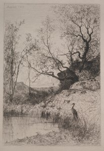 A Pond