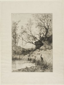 A Pond Near Rousillon