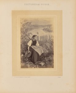 Canton of Schaffhausen by Adolphe Braun