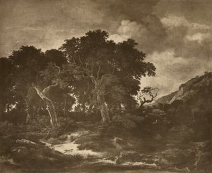 Landscape by Adolphe Braun