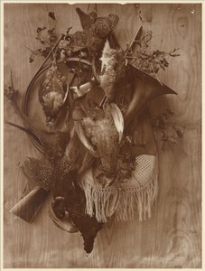 Pheasant and Grouse by Adolphe Braun