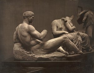 Sculptures from the Parthenon, British Museum, 1870s by Adolphe Braun