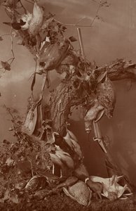 Still Life: Dead Game by Adolphe Braun
